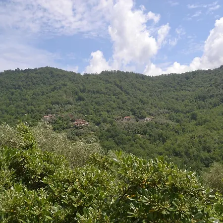 Belvilla By Oyo Fiore In Testa *